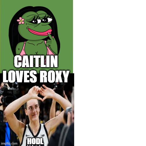 roxythefrog | CAITLIN LOVES ROXY; HODL | image tagged in roxythefrog | made w/ Imgflip meme maker