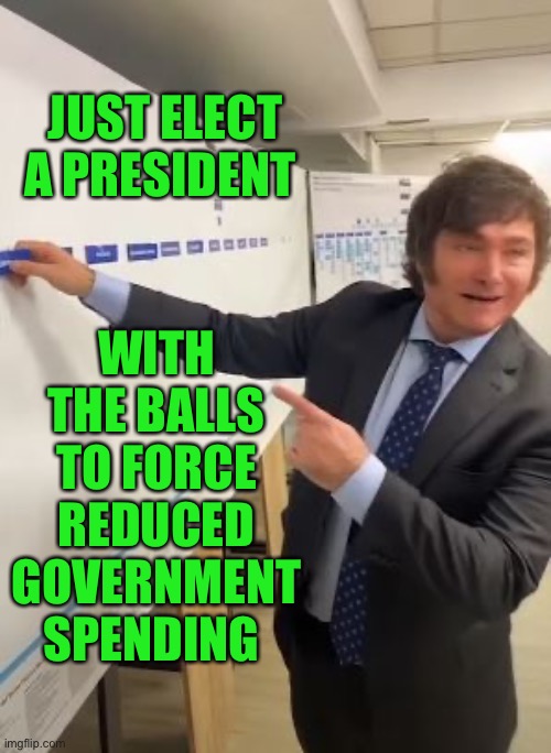 milei 1 | JUST ELECT A PRESIDENT WITH THE BALLS TO FORCE REDUCED GOVERNMENT SPENDING | image tagged in milei 1 | made w/ Imgflip meme maker