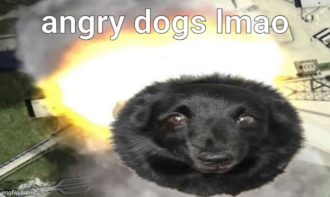 angry dogs lmao | made w/ Imgflip meme maker