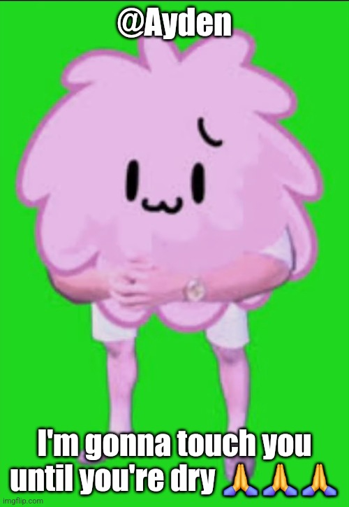 Cursed puffball | @Ayden; I'm gonna touch you until you're dry 🙏🙏🙏 | image tagged in cursed puffball | made w/ Imgflip meme maker
