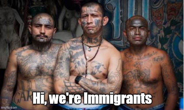 Hi, we're Immigrants | made w/ Imgflip meme maker