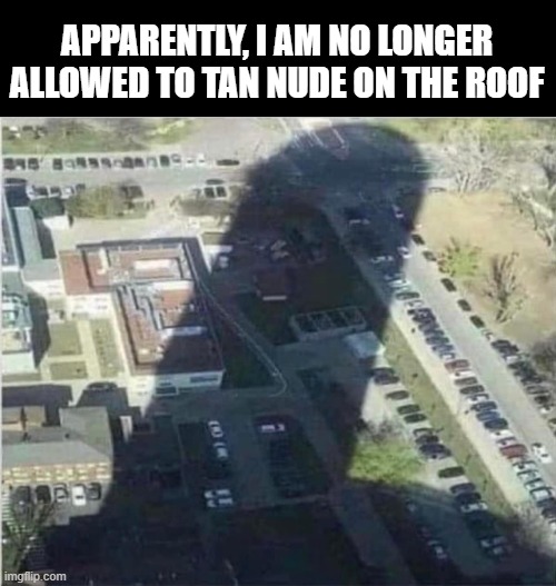 No Tanning | APPARENTLY, I AM NO LONGER ALLOWED TO TAN NUDE ON THE ROOF | image tagged in sex jokes | made w/ Imgflip meme maker