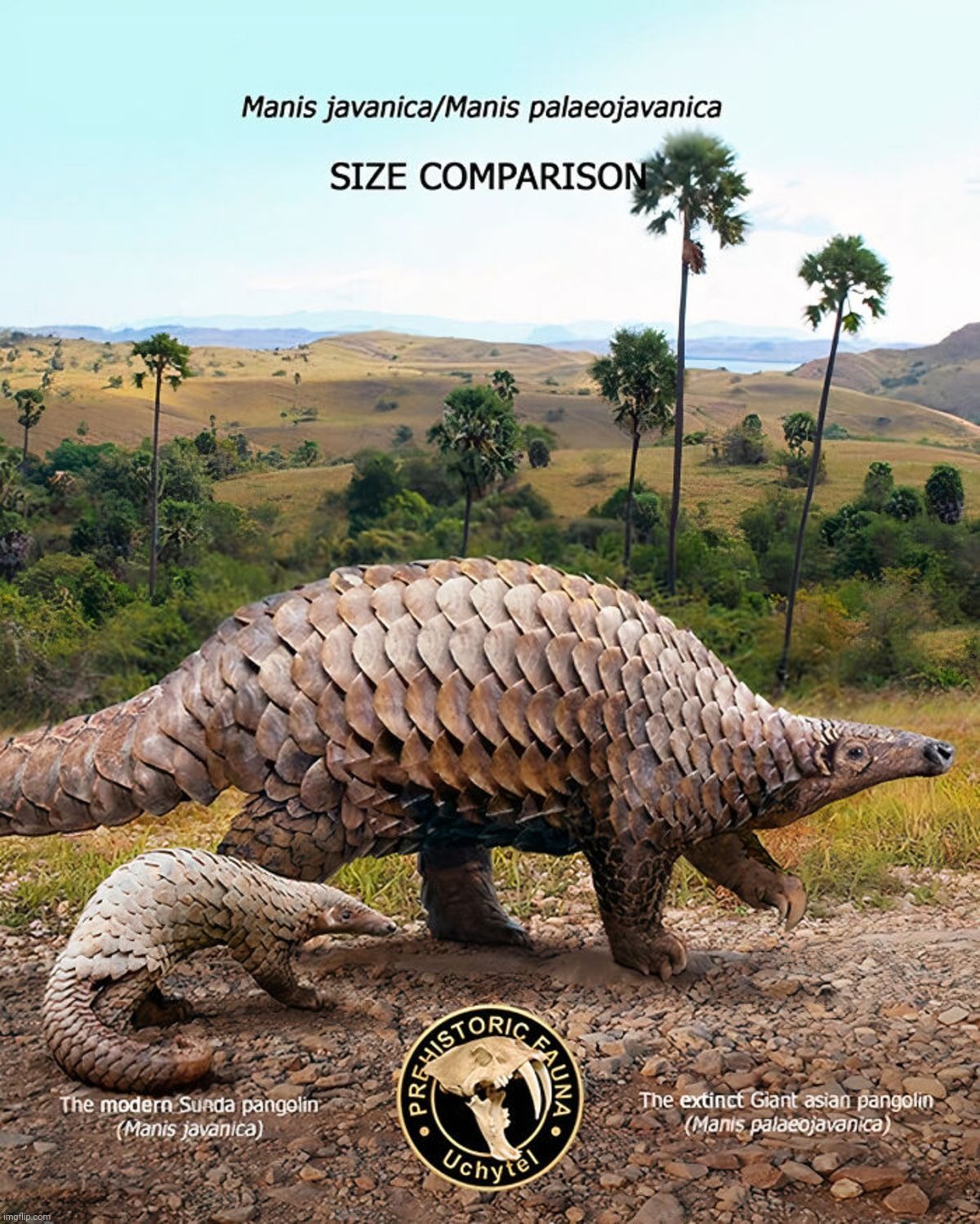 Giant Asian pangolin | image tagged in giant asian pangolin,pangolin | made w/ Imgflip meme maker