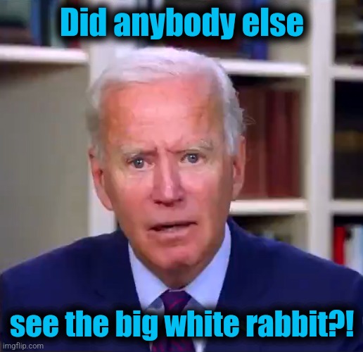Slow Joe Biden Dementia Face | Did anybody else see the big white rabbit?! | image tagged in slow joe biden dementia face | made w/ Imgflip meme maker