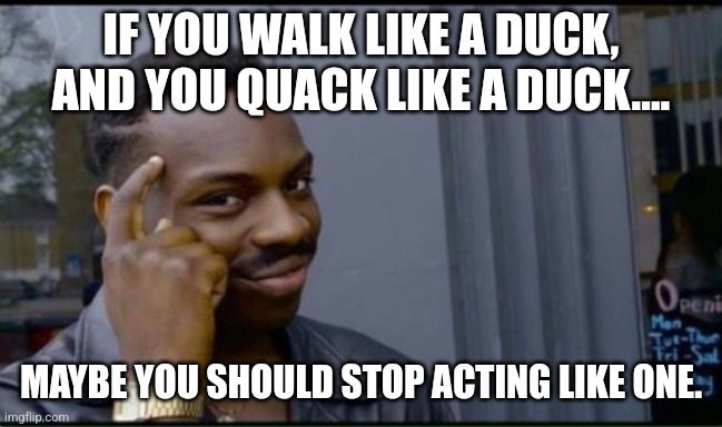 Thinking Black Man | IF YOU WALK LIKE A DUCK, AND YOU QUACK LIKE A DUCK.... MAYBE YOU SHOULD STOP ACTING LIKE ONE. | image tagged in thinking black man | made w/ Imgflip meme maker