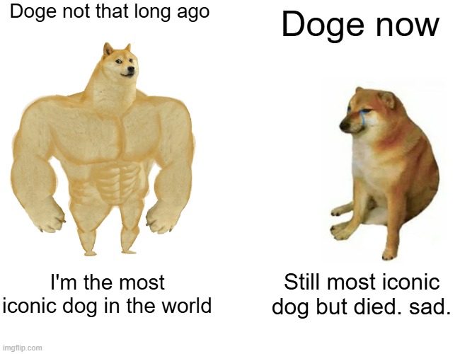 R.I.P Doge | Doge not that long ago; Doge now; I'm the most iconic dog in the world; Still most iconic dog but died. sad. | image tagged in memes,buff doge vs cheems,doge,sad | made w/ Imgflip meme maker
