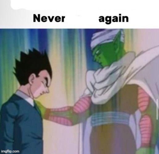 This shit was not it never cook again | image tagged in this shit was not it never cook again | made w/ Imgflip meme maker