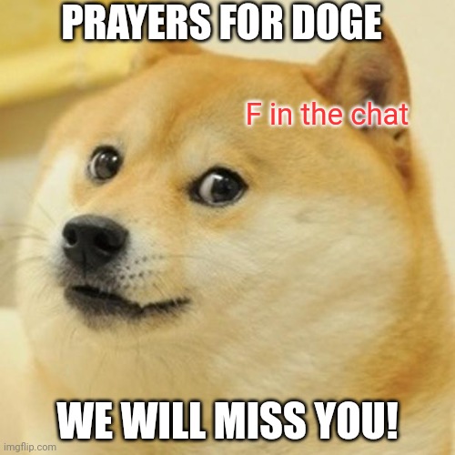 We, imgflippers, will miss Doge and send Fs in the chat. May she rest in peace. | PRAYERS FOR DOGE; F in the chat; WE WILL MISS YOU! | image tagged in memes,doge,f in the chat,rest in peace,kabosu | made w/ Imgflip meme maker