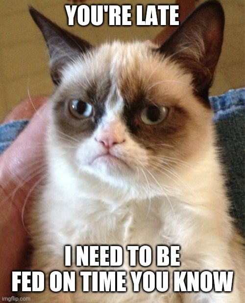 On time | YOU'RE LATE; I NEED TO BE FED ON TIME YOU KNOW | image tagged in memes,grumpy cat,funny memes | made w/ Imgflip meme maker