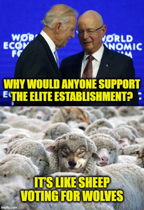 Eating the middle class | WHY WOULD ANYONE SUPPORT
THE ELITE ESTABLISHMENT? IT’S LIKE SHEEP
VOTING FOR WOLVES | image tagged in establishment | made w/ Imgflip meme maker