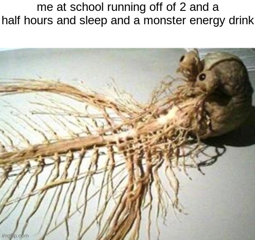 oh yeah guys, this is gonna be epic | me at school running off of 2 and a half hours and sleep and a monster energy drink | image tagged in funny memes,school | made w/ Imgflip meme maker
