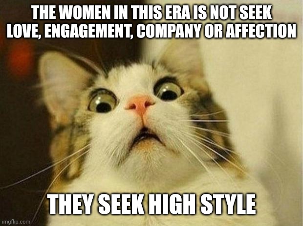 affection | THE WOMEN IN THIS ERA IS NOT SEEK LOVE, ENGAGEMENT, COMPANY OR AFFECTION; THEY SEEK HIGH STYLE | image tagged in memes,scared cat | made w/ Imgflip meme maker