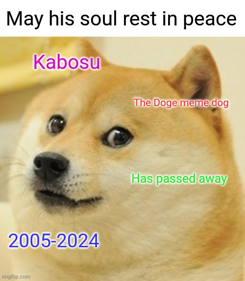 R.I.P Doge | May his soul rest in peace; Kabosu; The Doge meme dog; Has passed away; 2005-2024 | image tagged in memes,doge,rest in peace,rip | made w/ Imgflip meme maker