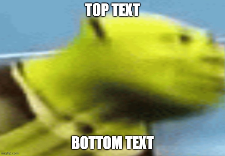 chraique | TOP TEXT; BOTTOM TEXT | image tagged in shrek | made w/ Imgflip meme maker