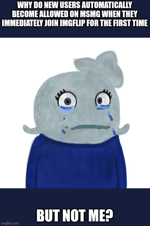 Uuugh | WHY DO NEW USERS AUTOMATICALLY BECOME ALLOWED ON MSMG WHEN THEY IMMEDIATELY JOIN IMGFLIP FOR THE FIRST TIME; BUT NOT ME? | image tagged in blueworld twitter | made w/ Imgflip meme maker