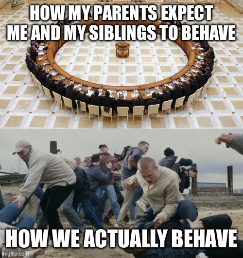 Sibling behavior | HOW MY PARENTS EXPECT ME AND MY SIBLINGS TO BEHAVE; HOW WE ACTUALLY BEHAVE | image tagged in men discussing men fighting,siblings | made w/ Imgflip meme maker