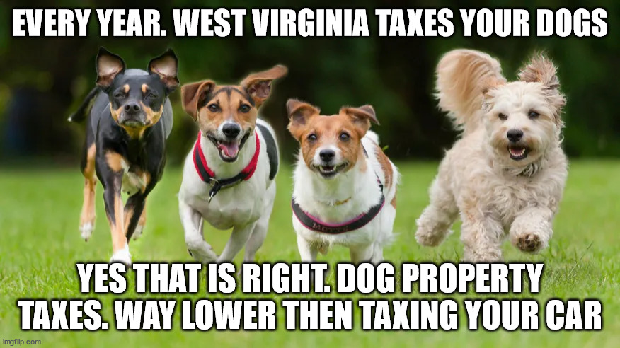 West Virginia taxes your Dog as Property | EVERY YEAR. WEST VIRGINIA TAXES YOUR DOGS; YES THAT IS RIGHT. DOG PROPERTY TAXES. WAY LOWER THEN TAXING YOUR CAR | image tagged in jim justice,property tax,west virginia,crazy laws,dogs | made w/ Imgflip meme maker