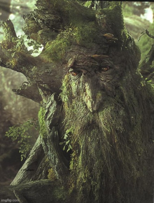 Tree Beard | image tagged in tree beard | made w/ Imgflip meme maker