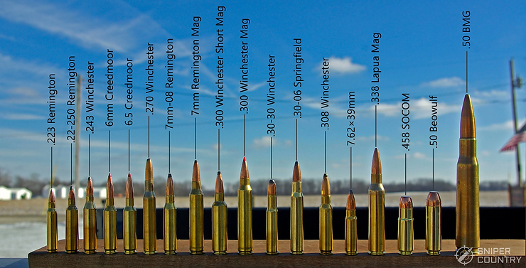 Bullet ammunition ammo sizes comparison JPP PH Blank Meme Template