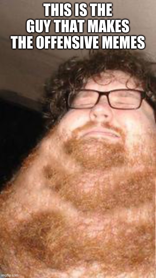 Neckbeard | THIS IS THE GUY THAT MAKES THE OFFENSIVE MEMES | image tagged in neckbeard | made w/ Imgflip meme maker