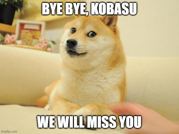 Rest in peace | BYE BYE, KOBASU; WE WILL MISS YOU | image tagged in memes,doge 2 | made w/ Imgflip meme maker