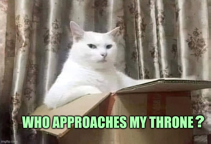 Cat in a Box | WHO APPROACHES MY THRONE; ? | image tagged in cat in a box,smudge,king,the most interesting cat in the world,cat meme | made w/ Imgflip meme maker