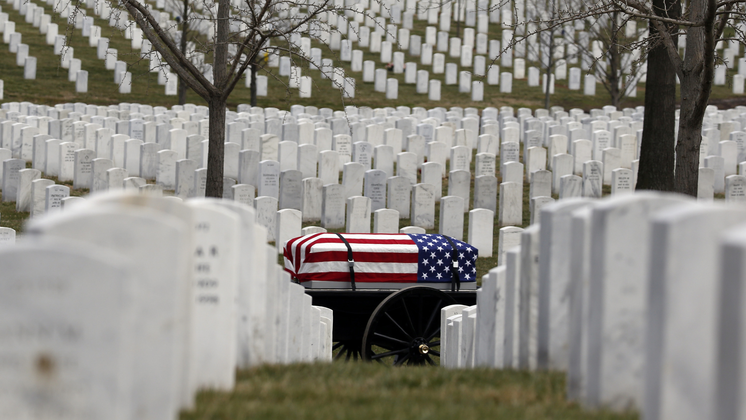 memorial day Blank Meme Template