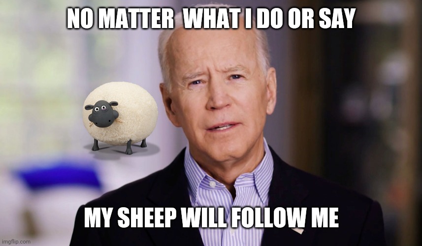 Sheep will follow me | NO MATTER  WHAT I DO OR SAY; MY SHEEP WILL FOLLOW ME | image tagged in joe biden 2020,funny memes | made w/ Imgflip meme maker