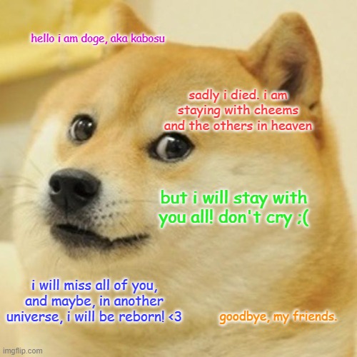 R.I.P, Kabosu. | hello i am doge, aka kabosu; sadly i died. i am staying with cheems and the others in heaven; but i will stay with you all! don't cry ;(; i will miss all of you, and maybe, in another universe, i will be reborn! <3; goodbye, my friends. | image tagged in memes,doge | made w/ Imgflip meme maker