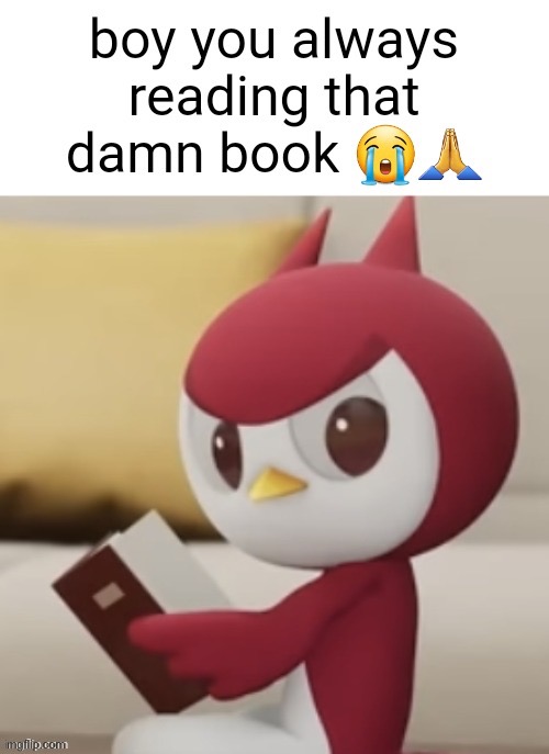 boy you always reading that damn book | image tagged in boy you always reading that damn book | made w/ Imgflip meme maker