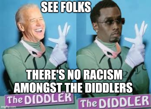 the diddler | SEE FOLKS; THERE'S NO RACISM AMONGST THE DIDDLERS | image tagged in diddy | made w/ Imgflip meme maker