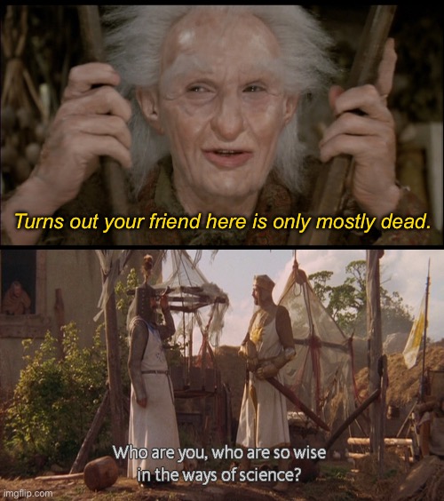 Turns out your friend here is only mostly dead. | image tagged in mostly dead,who are you so wise in the ways of science,monty python,monty python and the holy grail,the princess bride | made w/ Imgflip meme maker