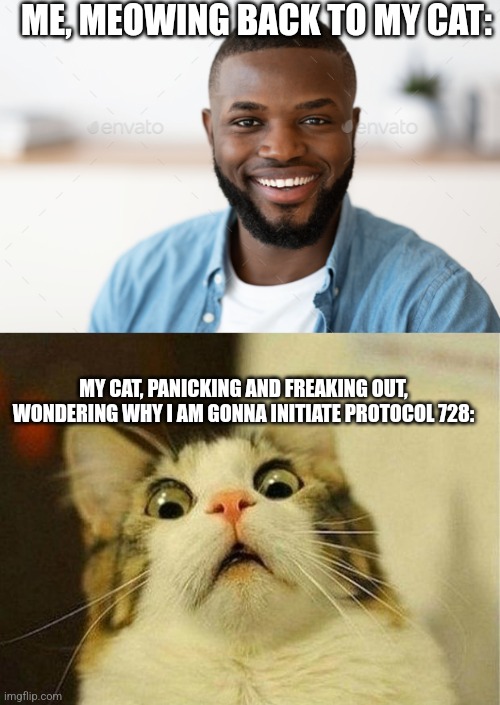 Oh god... | ME, MEOWING BACK TO MY CAT:; MY CAT, PANICKING AND FREAKING OUT, WONDERING WHY I AM GONNA INITIATE PROTOCOL 728: | image tagged in memes,scared cat | made w/ Imgflip meme maker