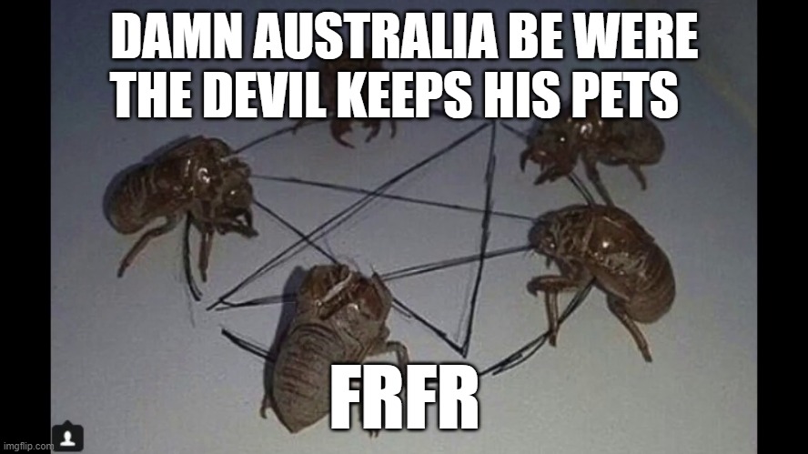 do any of yall live down there? | DAMN AUSTRALIA BE WERE THE DEVIL KEEPS HIS PETS; FRFR | made w/ Imgflip meme maker