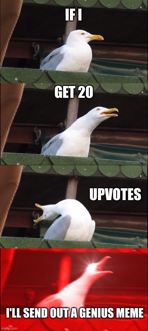 Inhaling Seagull | IF I; GET 20; UPVOTES; I'LL SEND OUT A GENIUS MEME | image tagged in memes,inhaling seagull | made w/ Imgflip meme maker