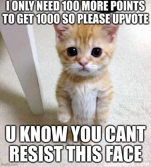 Cute Cat | I ONLY NEED 100 MORE POINTS TO GET 1000 SO PLEASE UPVOTE; U KNOW YOU CANT RESIST THIS FACE | image tagged in memes,cute cat | made w/ Imgflip meme maker
