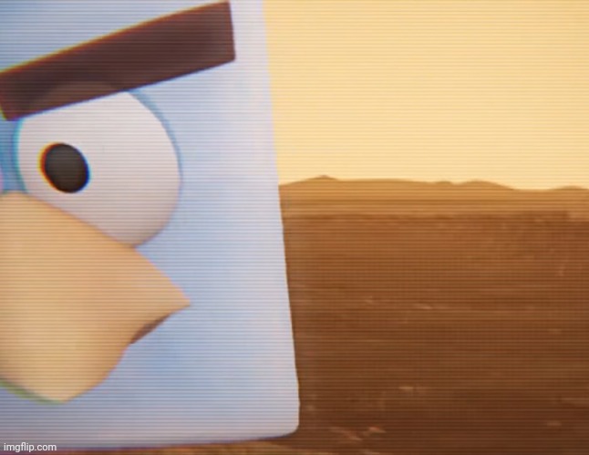 D | image tagged in ice bird stare | made w/ Imgflip meme maker