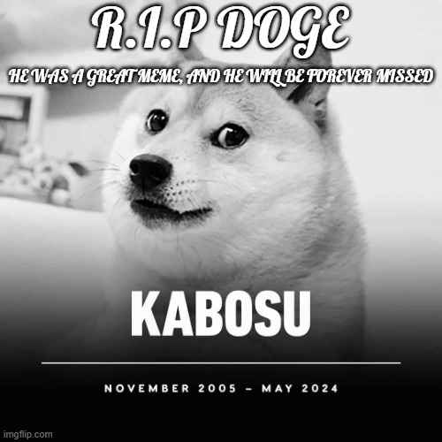 R.I.P Kabosu 2005-2024 | R.I.P DOGE; HE WAS A GREAT MEME, AND HE WILL BE FOREVER MISSED | image tagged in kabosu rip,kabosu,doge,meme,dead,memeorial | made w/ Imgflip meme maker