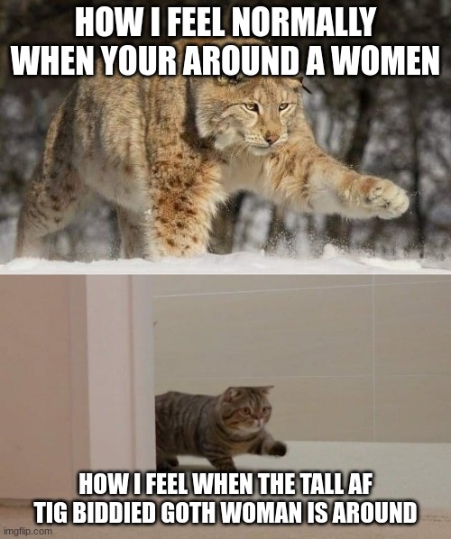 goth women are my favorite type of women :c | HOW I FEEL NORMALLY WHEN YOUR AROUND A WOMEN; HOW I FEEL WHEN THE TALL AF TIG BIDDIED GOTH WOMAN IS AROUND | image tagged in big and smol cat | made w/ Imgflip meme maker
