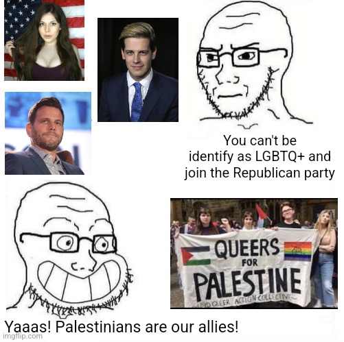 So LGBTQ+ people can't be Republicans but they can support an Islamic theocracy that kills gay people | You can't be identify as LGBTQ+ and join the Republican party; Yaaas! Palestinians are our allies! | image tagged in so true wojak,lgbtq,stupid liberals,liberal logic,palestine | made w/ Imgflip meme maker
