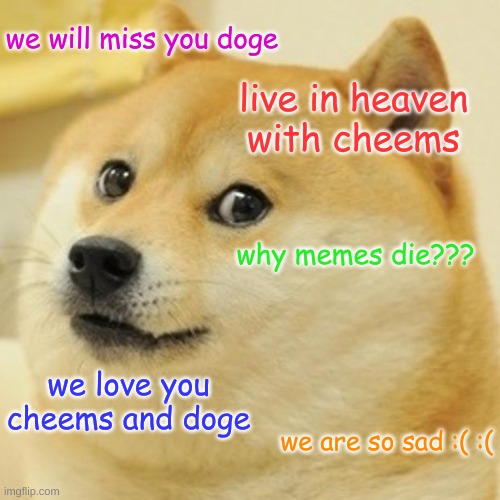 Doge | we will miss you doge; live in heaven with cheems; why memes die??? we love you cheems and doge; we are so sad :( :( | image tagged in memes,doge | made w/ Imgflip meme maker