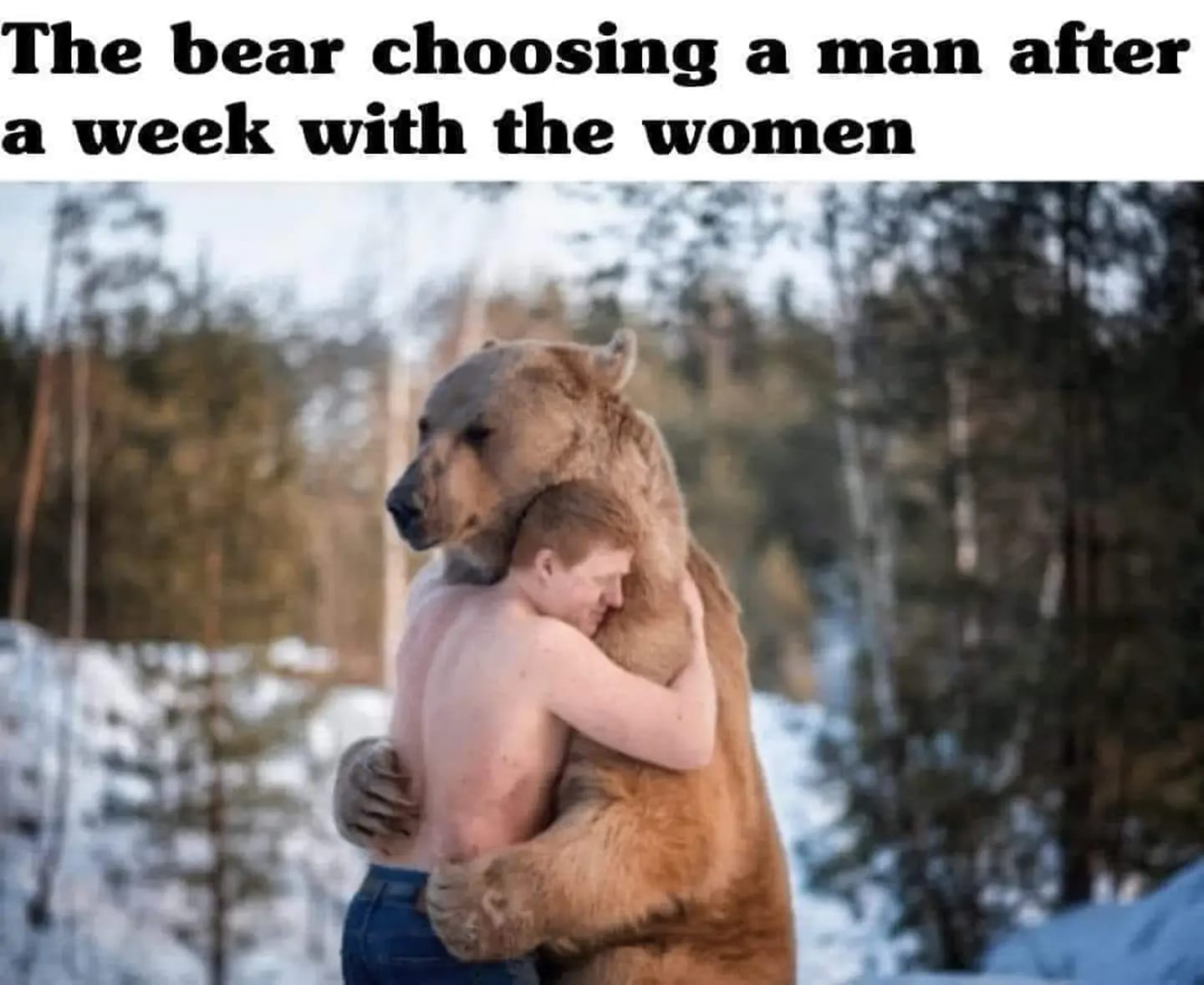 High Quality bear chose man Blank Meme Template