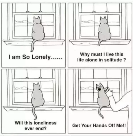High Quality Lonely Cat Blank Meme Template