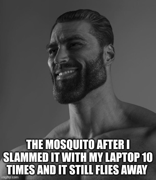 SHCHUPID MOSQUITO | THE MOSQUITO AFTER I SLAMMED IT WITH MY LAPTOP 10 TIMES AND IT STILL FLIES AWAY | image tagged in giga chad,mosquito,rip | made w/ Imgflip meme maker