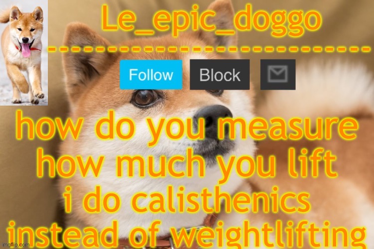 epic doggo's temp back in old fashion | how do you measure how much you lift; i do calisthenics instead of weightlifting | image tagged in epic doggo's temp back in old fashion | made w/ Imgflip meme maker