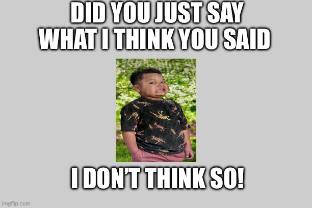 Say what? | DID YOU JUST SAY WHAT I THINK YOU SAID; I DON’T THINK SO! | image tagged in free | made w/ Imgflip meme maker