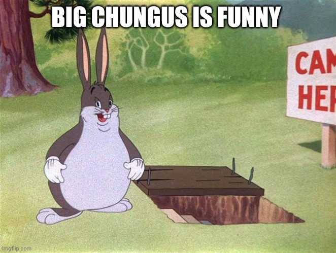 Big Chungus | BIG CHUNGUS IS FUNNY | image tagged in big chungus | made w/ Imgflip meme maker