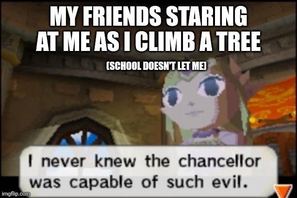 School is over why am I still making memes about it | MY FRIENDS STARING AT ME AS I CLIMB A TREE; (SCHOOL DOESN'T LET ME) | image tagged in i never knew the chancellor was capable of such evil,spirit tracks,zelda,summer vacation | made w/ Imgflip meme maker