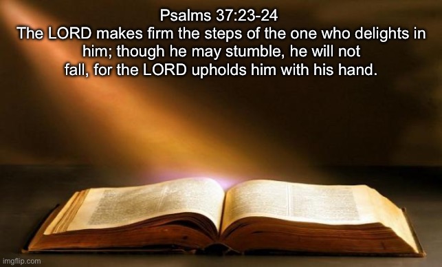 Hi guys I hope you all had a great Sunday | Psalms 37:23-24 
The LORD makes firm the steps of the one who delights in him; though he may stumble, he will not fall, for the LORD upholds him with his hand. | image tagged in bible | made w/ Imgflip meme maker