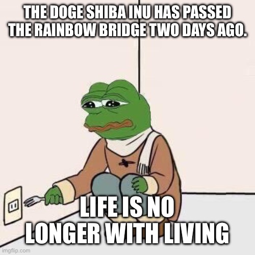 Sad Pepe Suicide | THE DOGE SHIBA INU HAS PASSED THE RAINBOW BRIDGE TWO DAYS AGO. LIFE IS NO LONGER WITH LIVING | image tagged in sad pepe suicide,no longer worth living,depression,depression sadness hurt pain anxiety | made w/ Imgflip meme maker